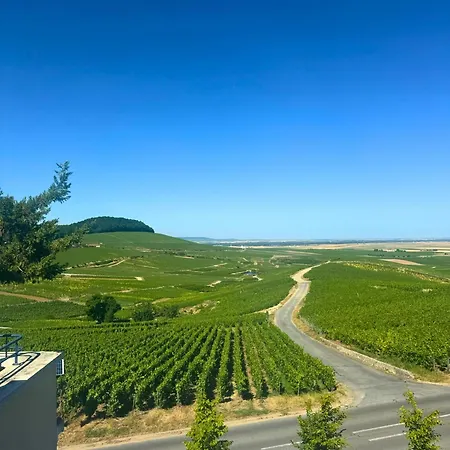 Maison d'hôtes En Champagne 3*